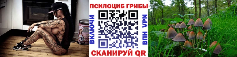 blacksprut зеркало  что такое наркотик  Вихоревка  Галлюциногенные грибы прущие грибы 